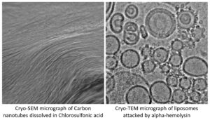 Examples of some electron microscopy micrographs